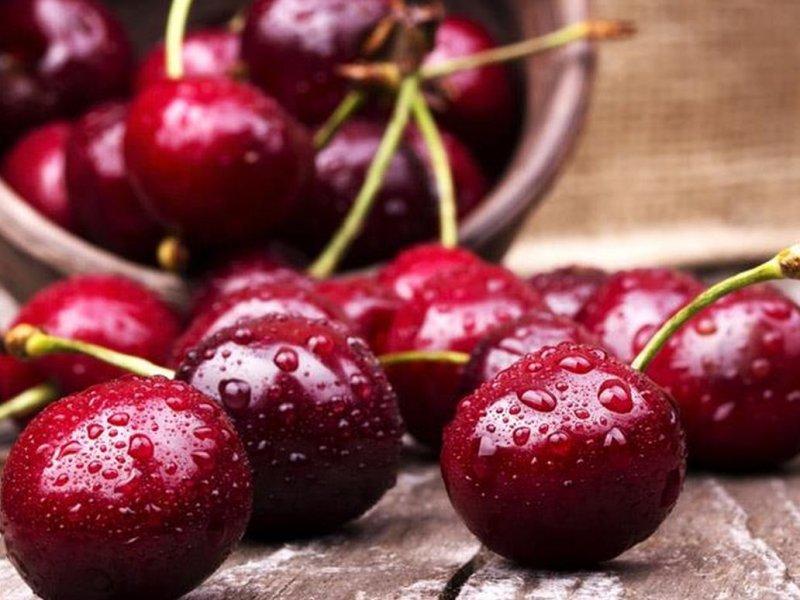 Вишня купить саженцы из питомника в Белорецке